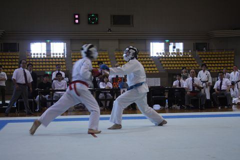 20130804 145956_0.jpg